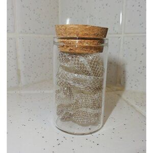 Snake Skin Small Oddity Jar curiosity reptile shed glass vial goth nature